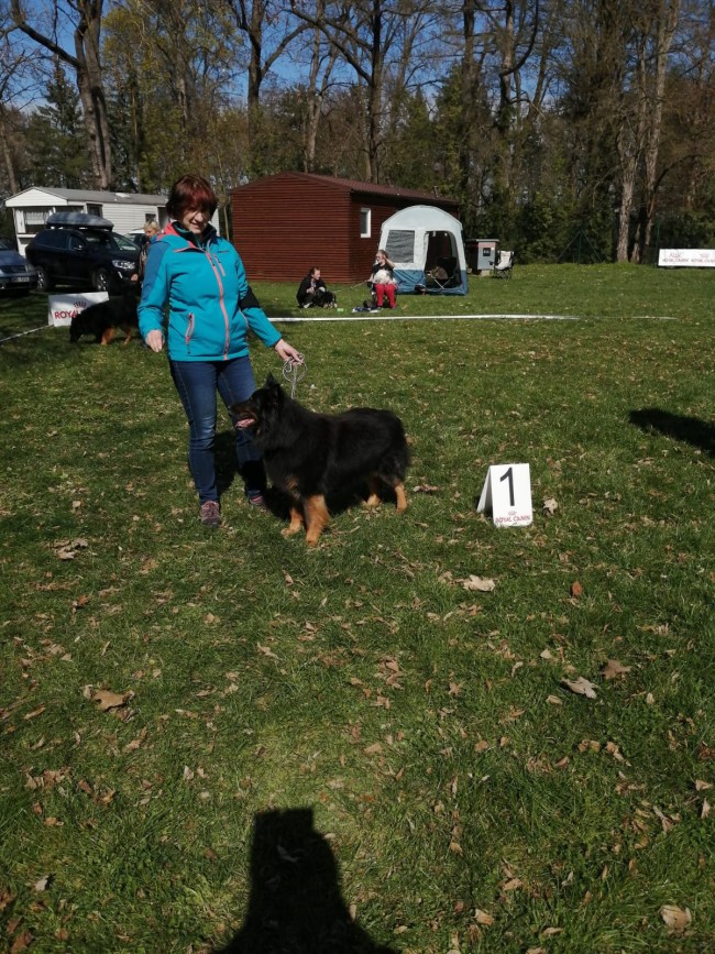 img-20250405-wa0009.jpg